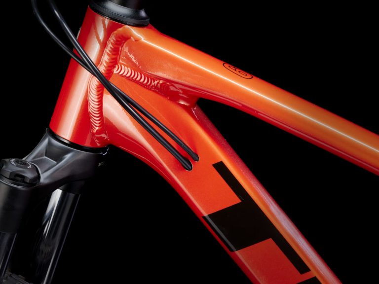 Marlin6-24-40962-C-Alt3