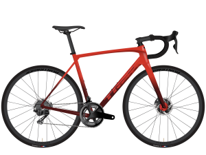 Emonda ALR 5 2025年モデル