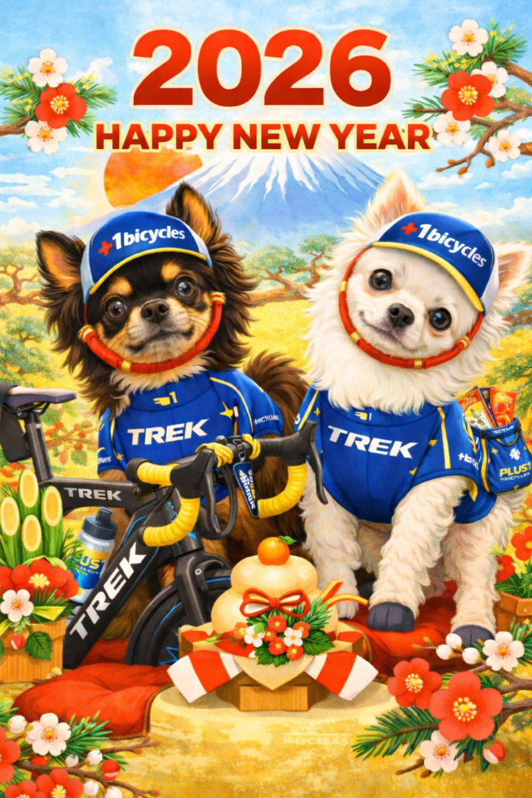 【2026】今年もよろしくお願いします☀️